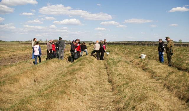 Кликнуть для просмотра полного размера imgp1602.jpg
